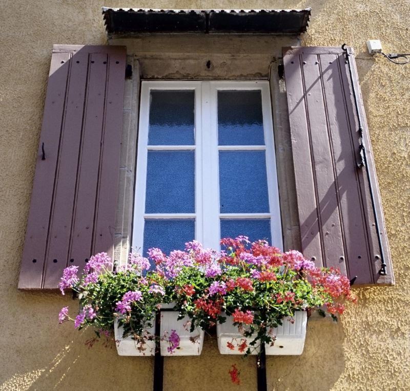 Shutter Repair in Fall