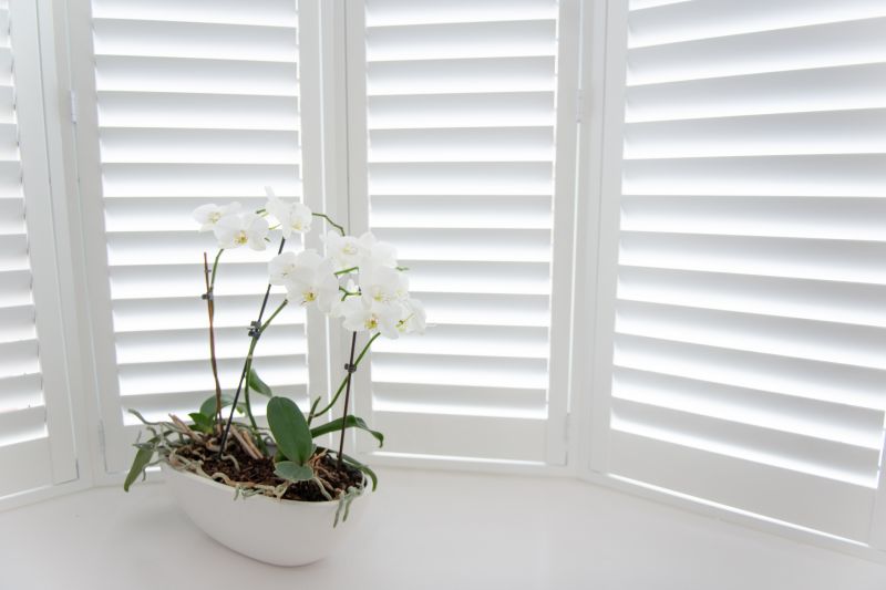 Wood Shutters Installation in Longmont, CO